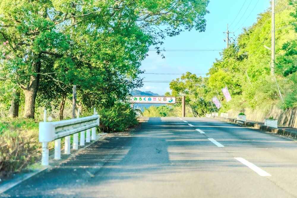 みろく自然公園へ続く並木道